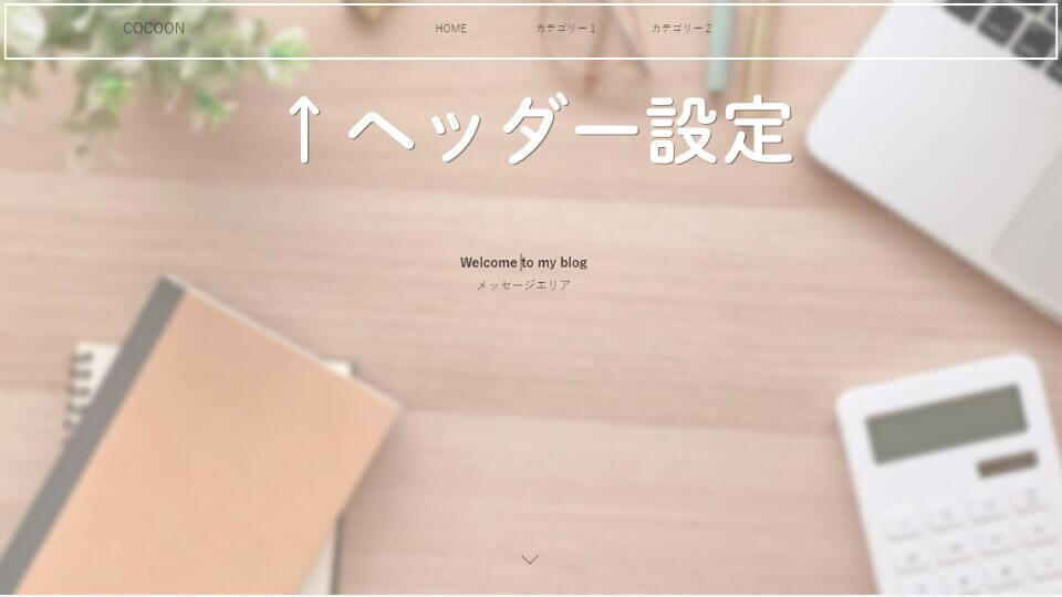 アピールエリア|フルスクリーン